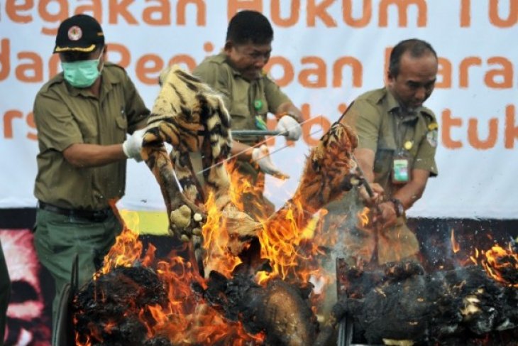 Pemusnahan Hasil Perdagangan Satwa Liar