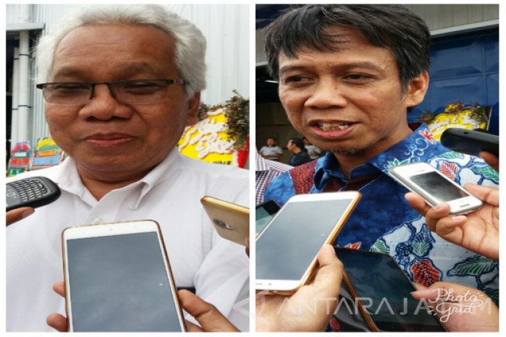 Pabrik BIP Berencana Bermitra Dengan Petani Sengon ...