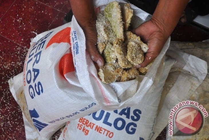 Beras Sejahtera di Penajam Tidak Layak Konsumsi