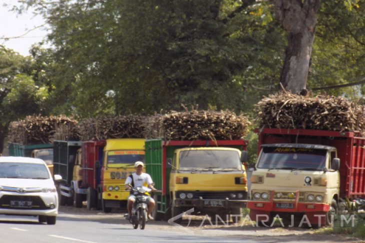 Petani Tebu Situbondo Keluhkan Pelayanan Pabrik Gula 