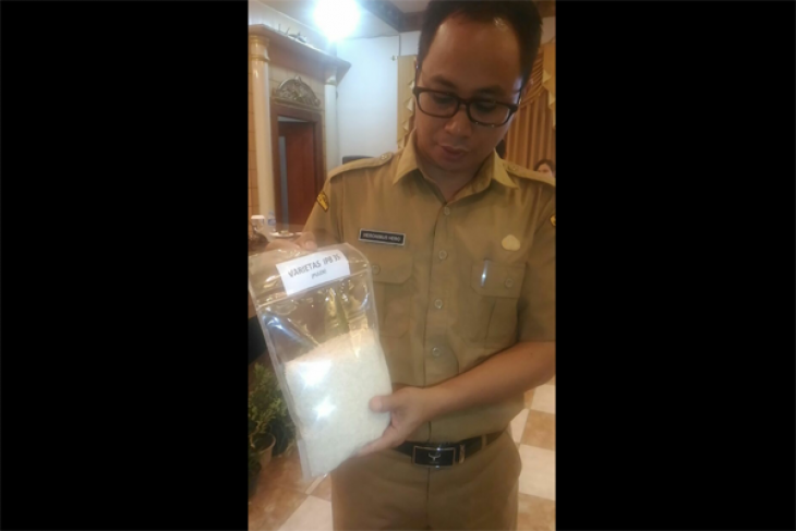 Perbatasan Kalbar Surplus Beras 200.000 Ton/Tahun