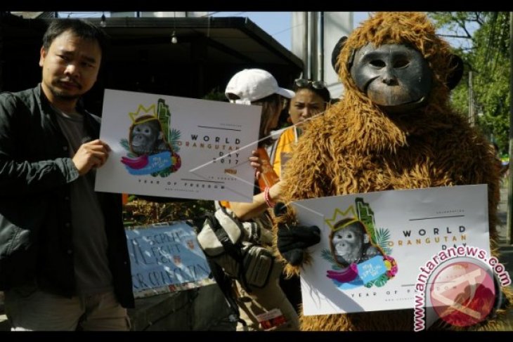 Peringatan Hari Orangutan