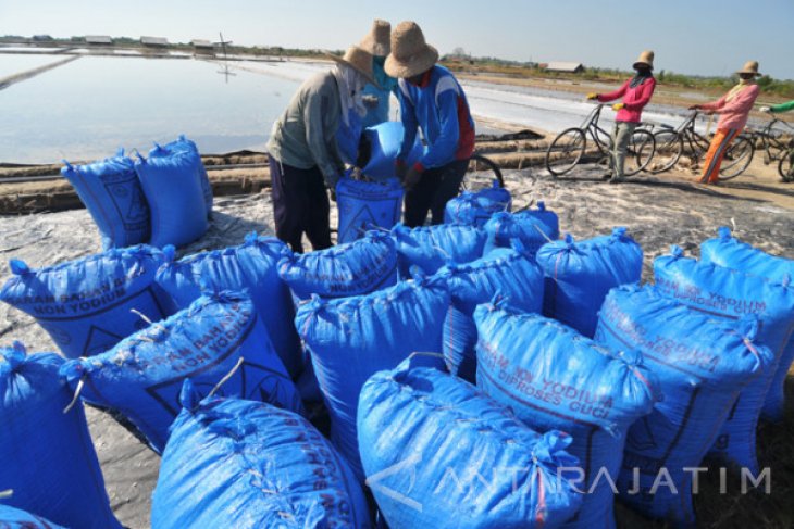 Harga Garam Madura Turun