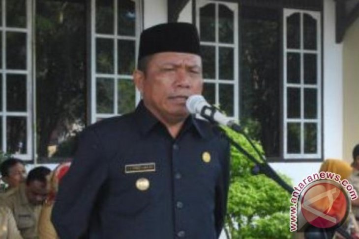 Bupati Bangka ajak masyarakat kembangkan pangan lokal