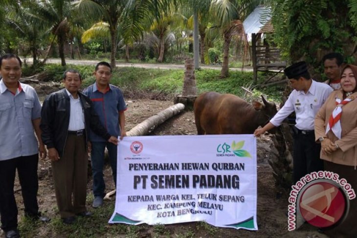 Semen Padang Salurkan CSR Hewan Kurban