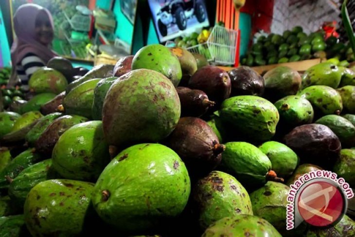 Kacang-kacangan, Minyak Zaitun dan Alpukat Bagus Untuk Kecerdasan