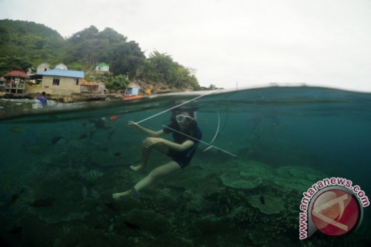 Pemkab Bone Bolango akan gelar Olele Dive Festival