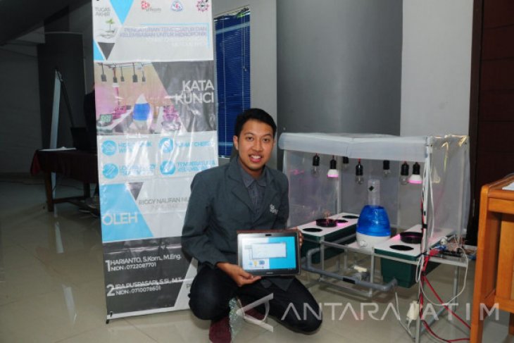 Mahasiswa Stikom Ciptakan Sistem Hidroponik untuk Buah Tomat Cherry