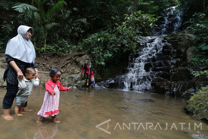 Wisata Air Terjun Irenggolo