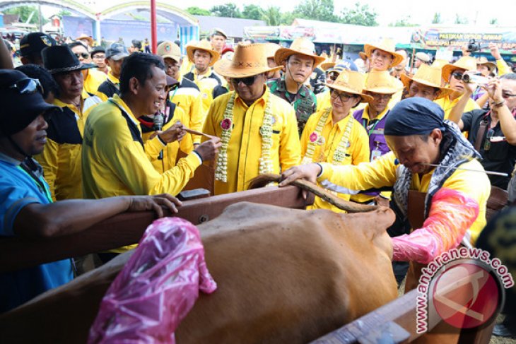 PRAKTEK SUNTIK KAWIN INDUKAN SAPI