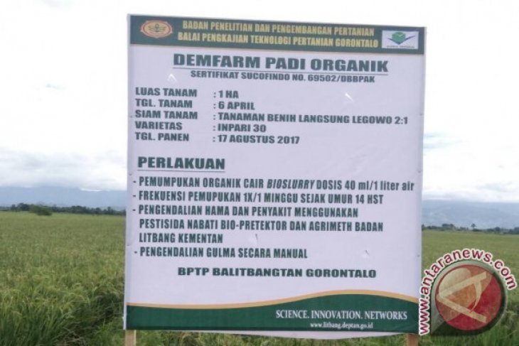 BPTP Gorontalo Lakukan Pendampingan Produksi Beras Organik