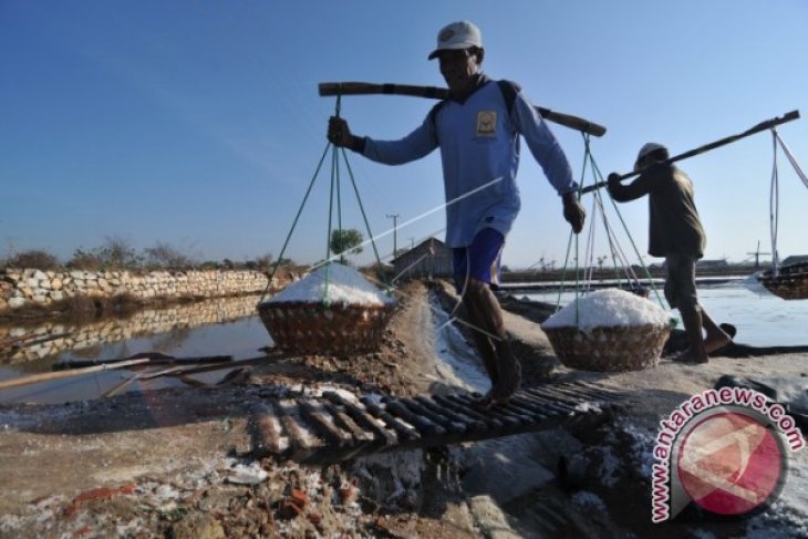 Rencana Pembenahan Industri Garam