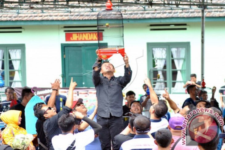 Festival Burung Berkicau Nasional