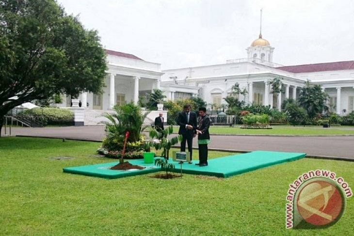 POHON PERSAHABATAN RI-QATAR