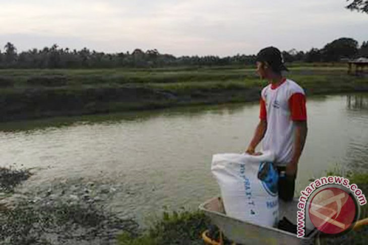 Patin dominasi produksi ikan Kabupaten Muarojambi