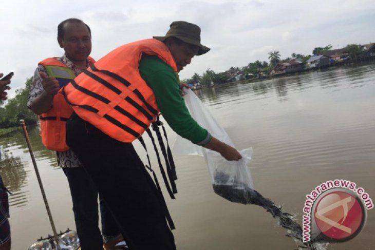 LEPAS 10 RIBU BIBIT IKAN