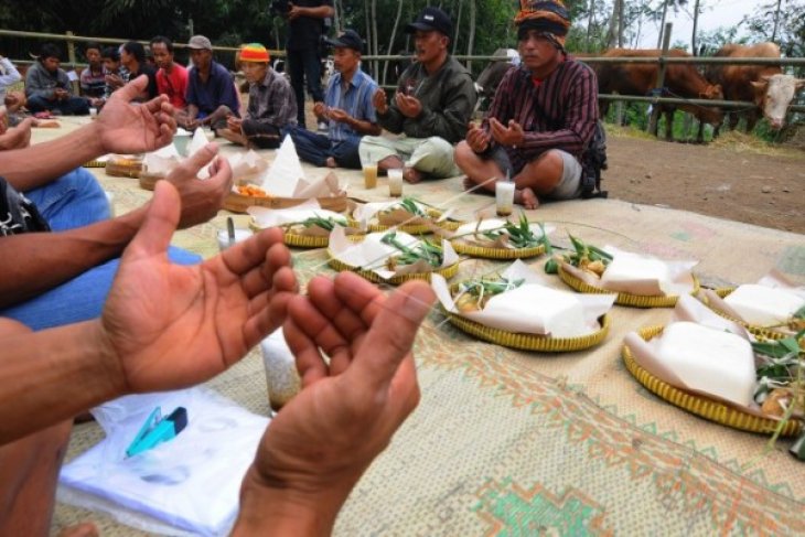 KENDURI DAWET SAPI