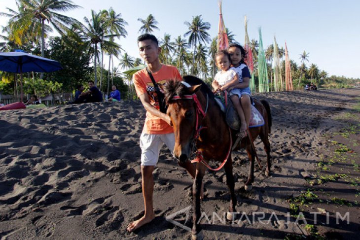 Wisata Kuda Di Pantai Cacalan