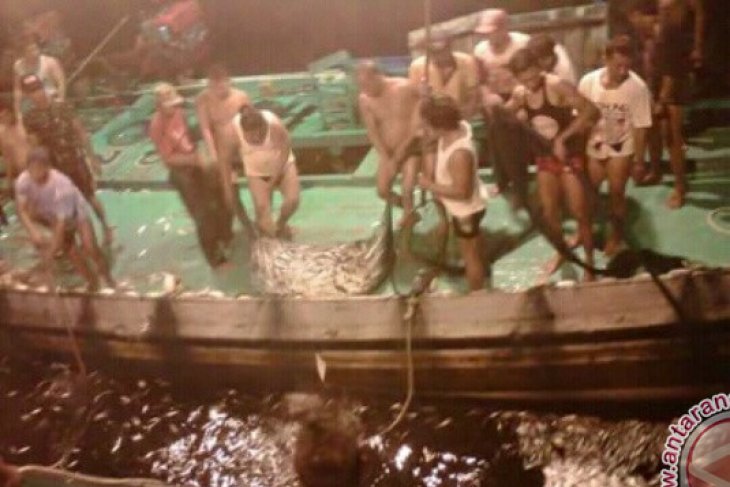 Nelayan Jembrana Alami Kondisi Ekonomi Tidak Menentu