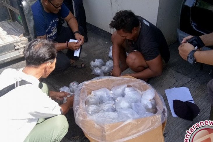 Police Foil Attempt to Smuggle Coral Reefs 