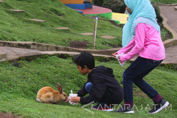 Wisata Taman Kelinci