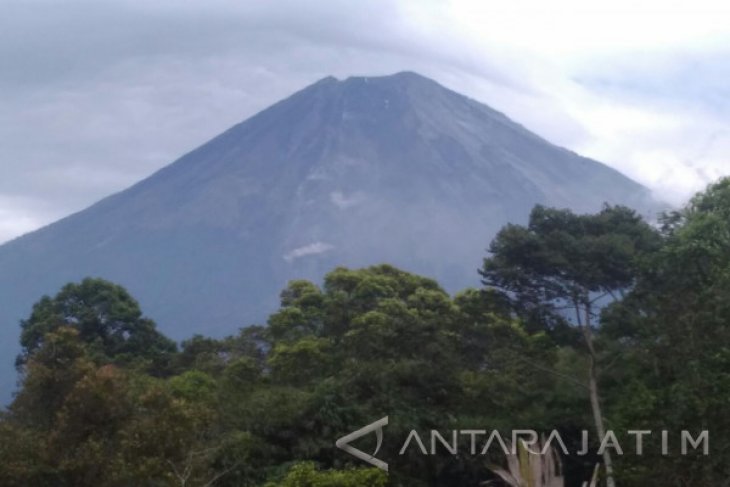  Status  Waspada Gunung  Semeru  Alami Gempa Letusan dan 