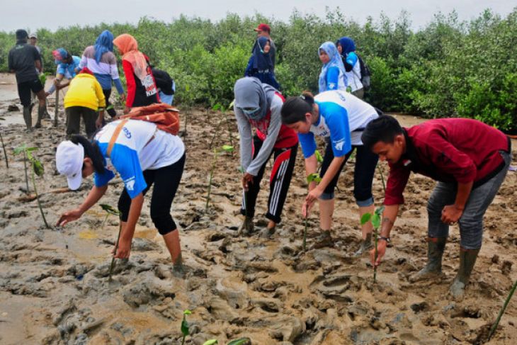 RELAWAN GARUDAFOOD TANAM MANGROVE