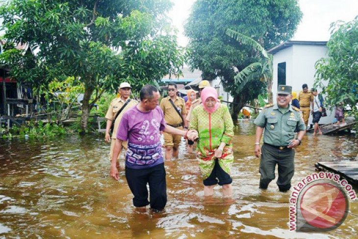 MENINJAU BANJIR