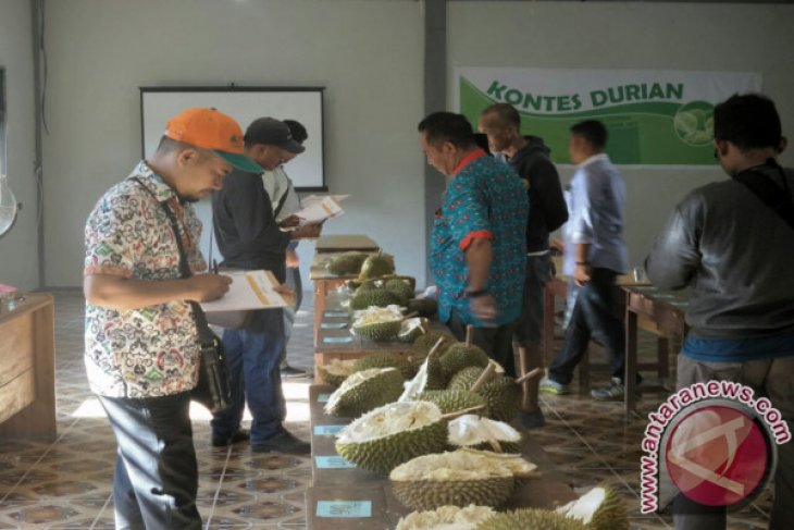 Sedahan Jaya Gelar Festival Durian