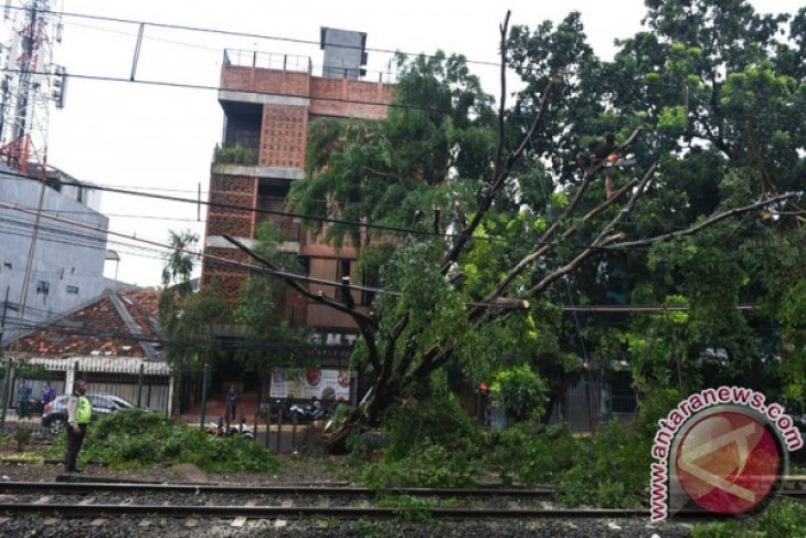 Pohon tumbang hadang perjalanan kereta listrik