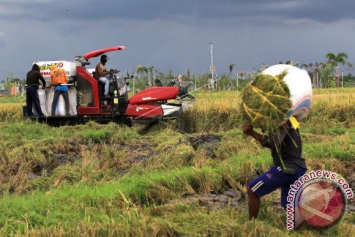 Indonesia has sufficient rice stock: official