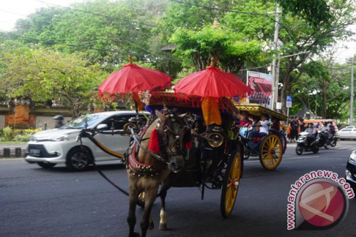 Dozens of tourists enjoy free horse-drawn vehicle in Denpasar