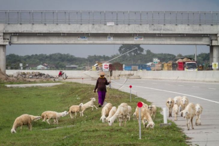 Tol Solo-Ngawi