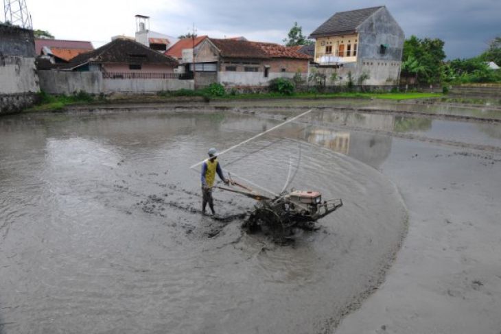 Bantuan alat pertanian