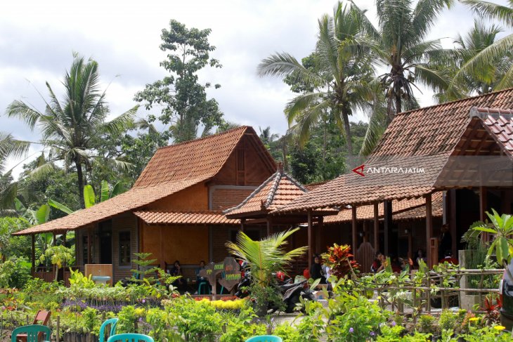 Rumah Adat Suku Osing