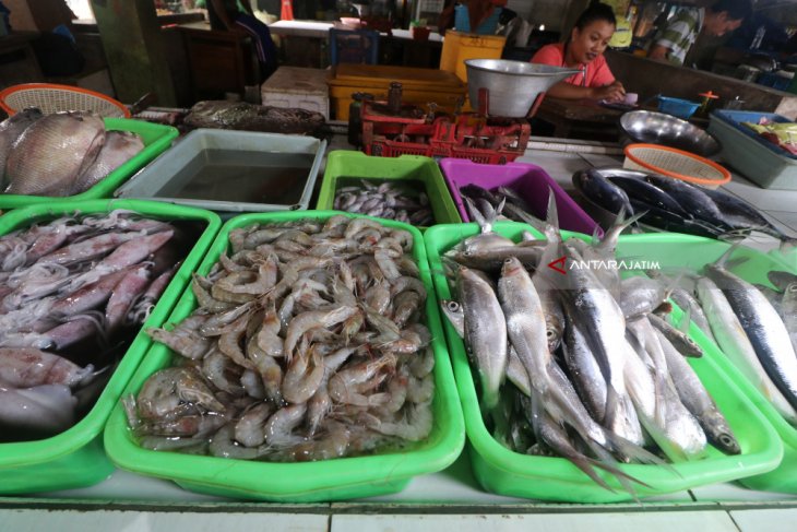 Harga Ikan Laut Naik