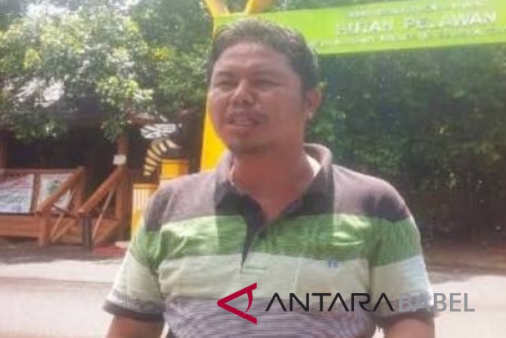 Sawah di Namang Bangka Tengah jadi potensi pariwisata
