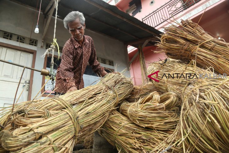 Pengumpul rotan Kutai Barat