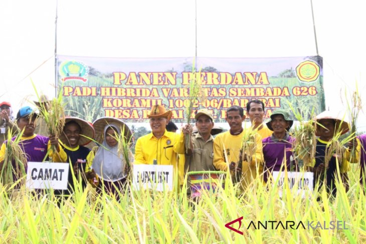 Distan perluas lahan dua kali tanam