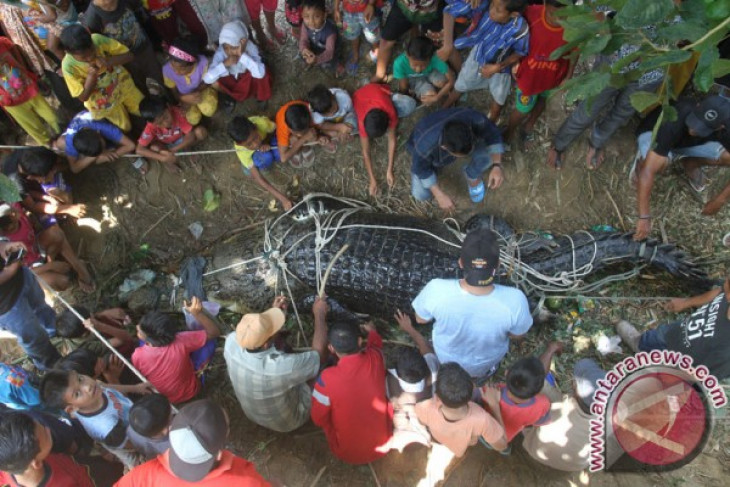 Minister asks people not to shoot crocodile roaming at pier