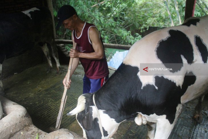 Pengrajin Tempe Manfaatkan Biogas