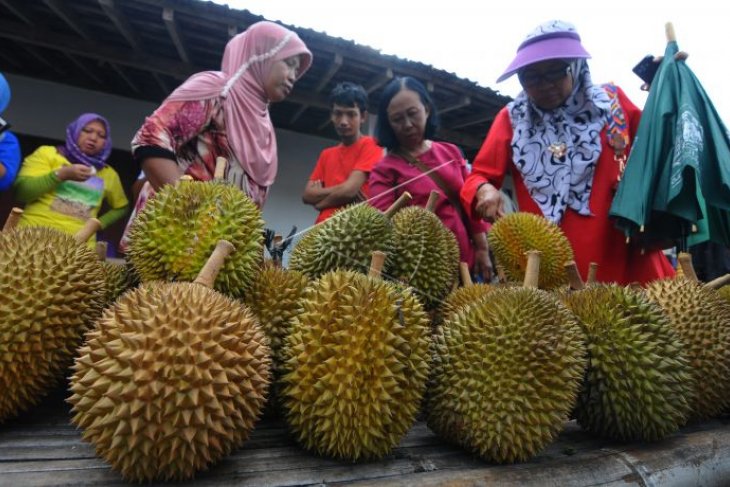 Festival durian Klaten