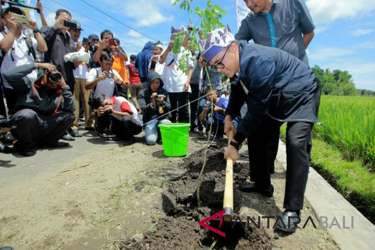 Festival Sedekah Oksigen