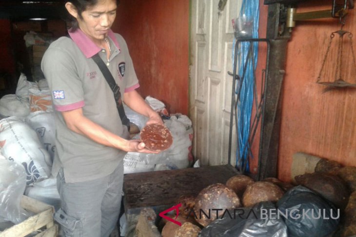 Harga gula aren Bengkulu bertahan Rp12.000