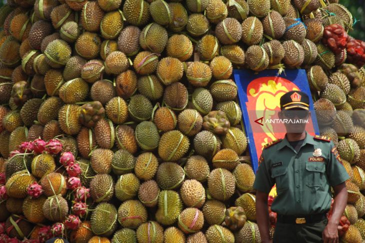 Pesta Durian Jombang