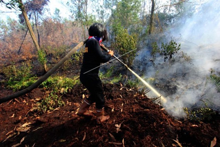 Lahan gambut terbakar