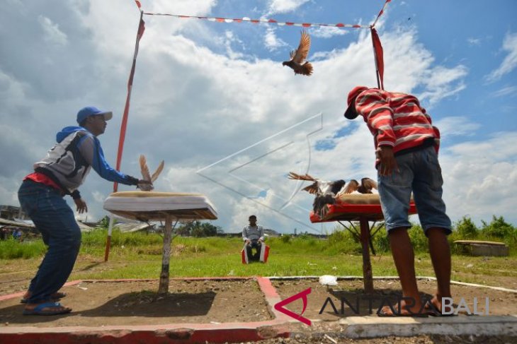 Kejuaraan Balap Merpati Tingkat Nasional