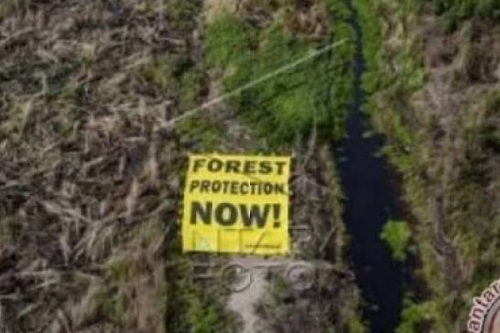 Awaiting a brighter, certain future for Indonesia's forests