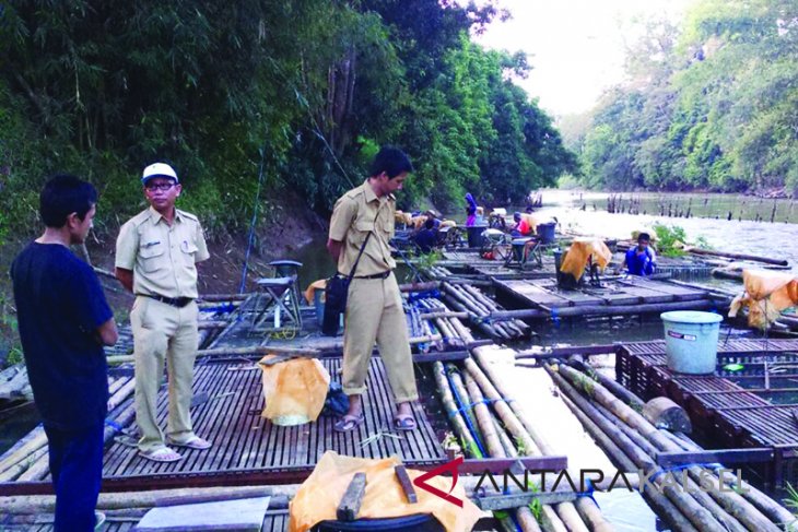 Pembudidaya Ikan Keramba Tabalong