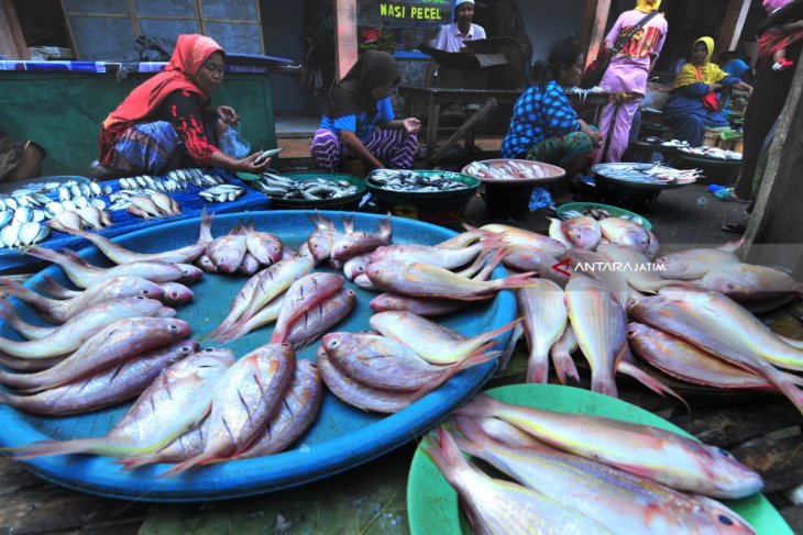 Harga Ikan Kembali Naik